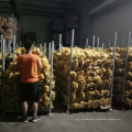 China fresh potato factory supply, natural yellow potato export 2021
